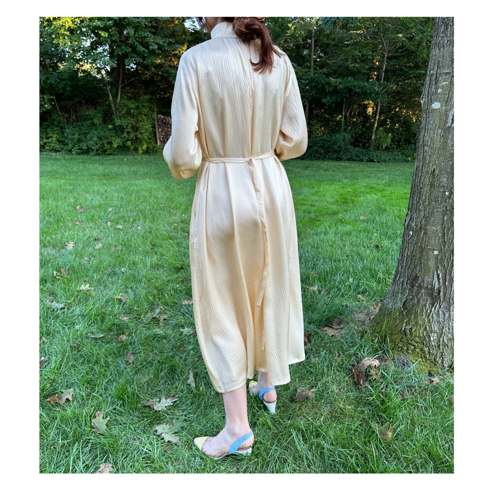 Rachel Comey Hammered Silk Hanley Maxi Dress Cream Adjustable Waist Size 0 BN - Picture 10 of 16